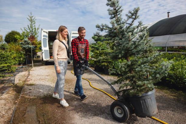 Tree Health Inspection in Cherokee, OK